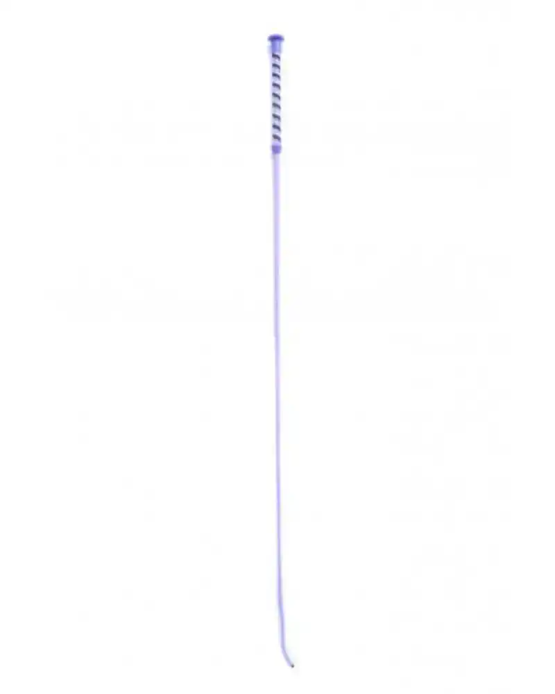 DIAMONDS DRESSUUR ZWEEP PURPLE 100 CM