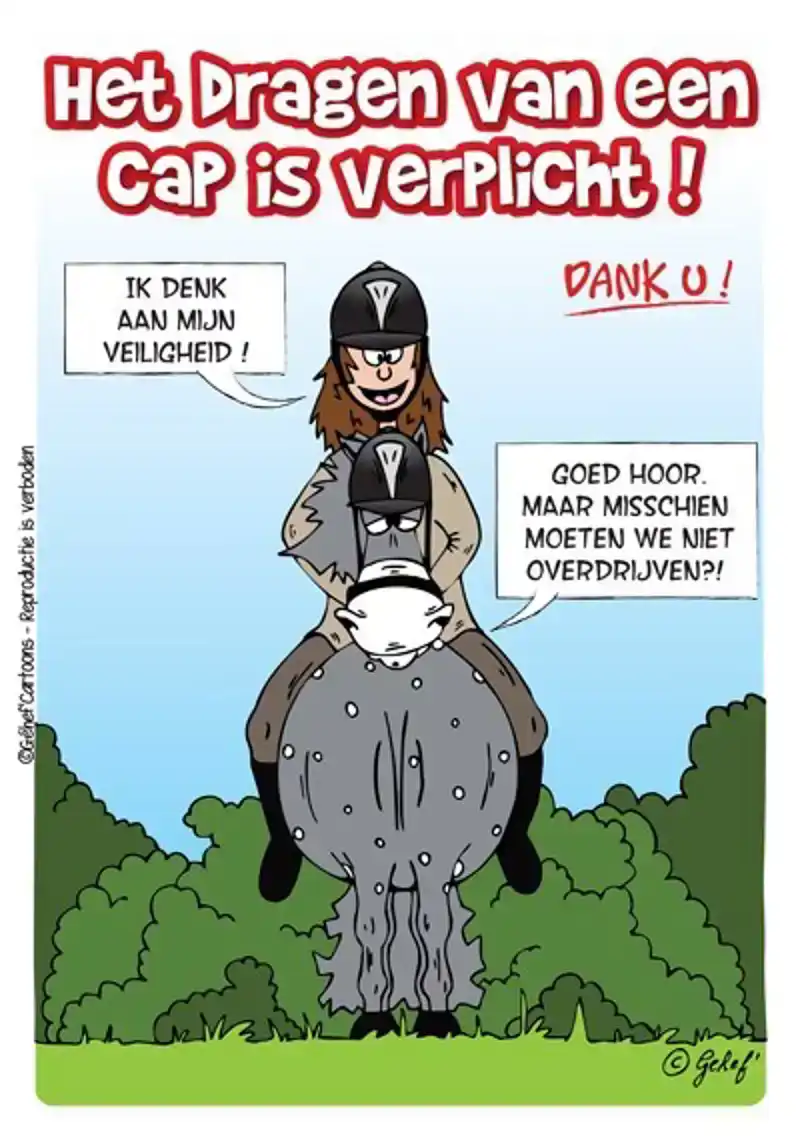 STALPLAAT CAP VERPLICHT