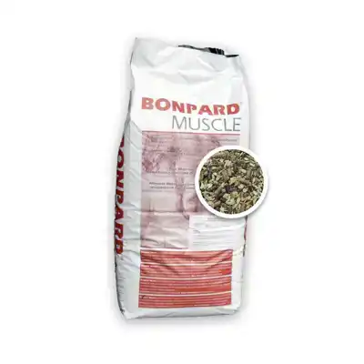 BONPARD MUSCLE