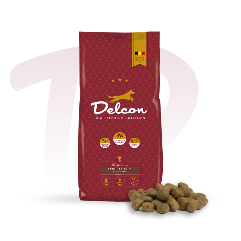 DELCON REGULAR PLUS LAMB 12KG