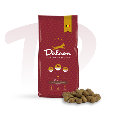DELCON REGULAR PLUS LAMB 12KG
