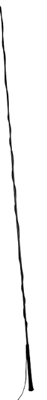 RED HORSE LONGEERZWEEP BASIC 200 ZWART