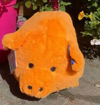 CADEAUSHOP PIGGY WILLY (ORANJE), 550 ALL-IN PUNTEN