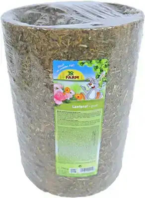 LENTEROL GROOT 750 GRAM