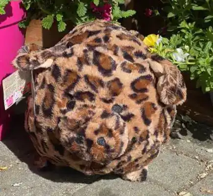 CADEAUSHOP PIGGY SPEEDY (PANTER), 550 ALL-IN PUNTEN