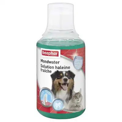 MONDWATER BEAPHAR 250ML