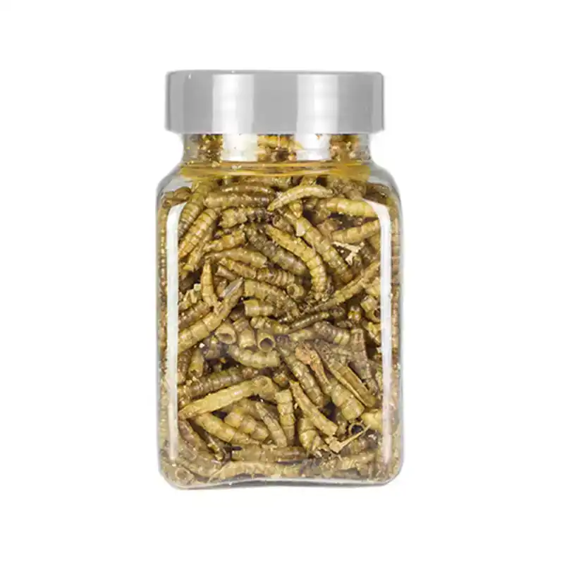 DIER ALL IN MEELWORMEN 100 ML
