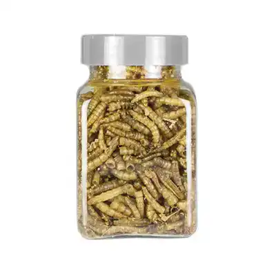 DIER ALL IN MEELWORMEN 100 ML