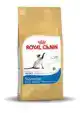 RC FBN SIAMESE 2KG