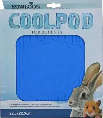 KOWLOON KNAAGDIER COOLPOD BLAUW