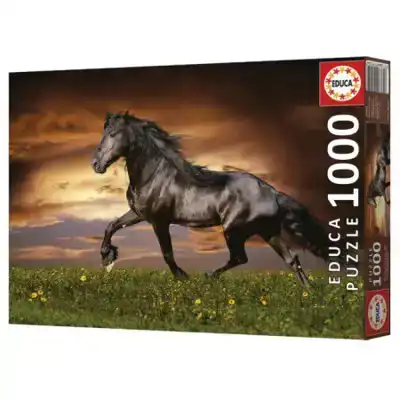 CADEAUSHOP PUZZEL DRAVEND PAARD, 1000 ALL-IN PUNTEN