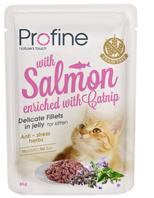 PROFINE CAT POUCH FILLETS IN JELLY SALMON KITTEN 85 GR