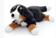 CADEAUSHOP PLUCHE KNUFFEL BERNER SENNEN, 2750 ALL IN PUNTEN