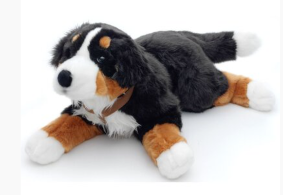 CADEAUSHOP PLUCHE KNUFFEL BERNER SENNEN, 2750 ALL IN PUNTEN