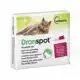 DRONSPOT GROTE KAT 2 PIPETTEN
