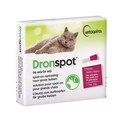 DRONSPOT GROTE KAT 2 PIPETTEN