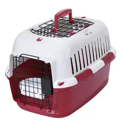 TRANSPORTBOX ADVENTURER 50 ROOD