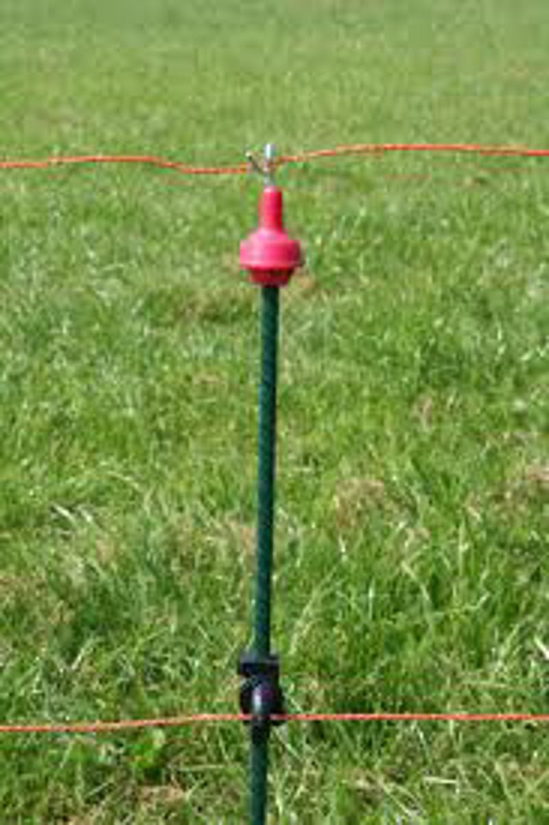 VEERSTALENPAAL GROEN MET KRULISOL.