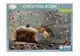 CADEAUSHOP PUZZEL CHRISTMAS ROBIN, 1000 ALL-IN PUNTEN