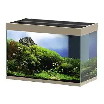CIANO AQUARIUM EMOTIONS NATURE PRO 80 MYSTIC