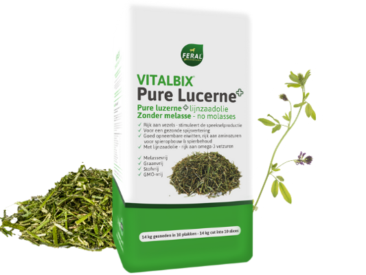 VITALBIX PURE LUCERNE+ 14 KG