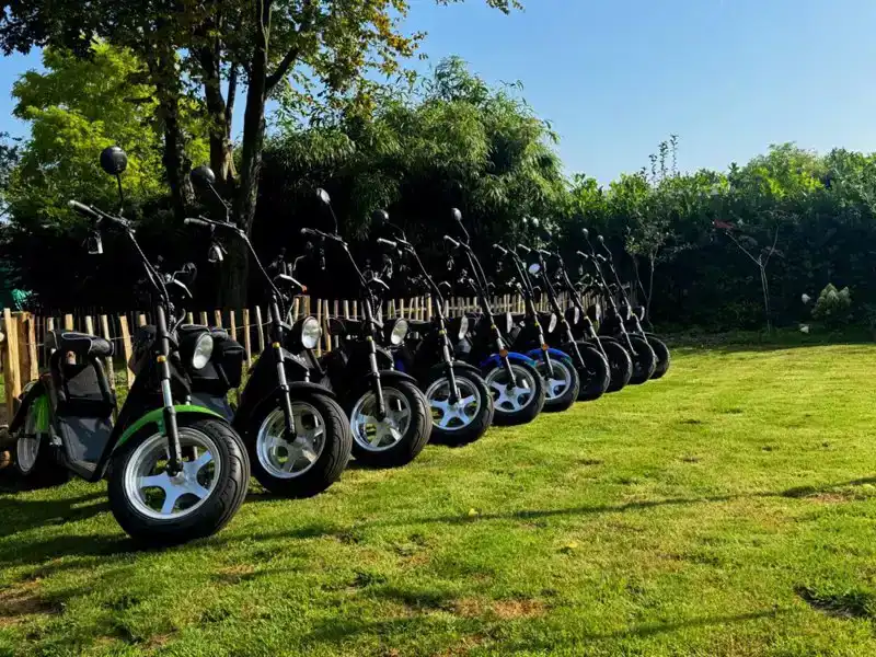 GENIETEN IN DE NATUUR OP EEN E-CHOPPER, 1500 ALL-IN PUNTEN