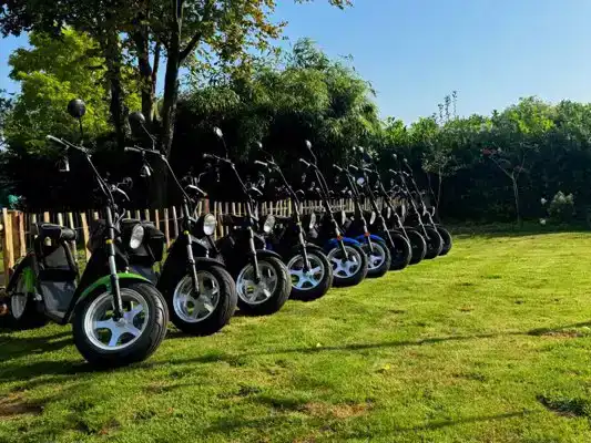 GENIETEN IN DE NATUUR OP EEN E-CHOPPER, 1500 ALL-IN PUNTEN