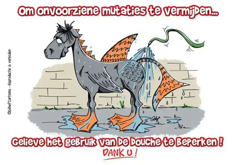 STALPLAAT DOUCHE