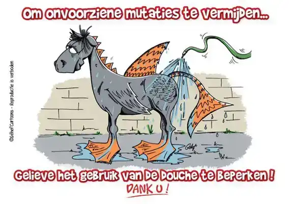 STALPLAAT DOUCHE