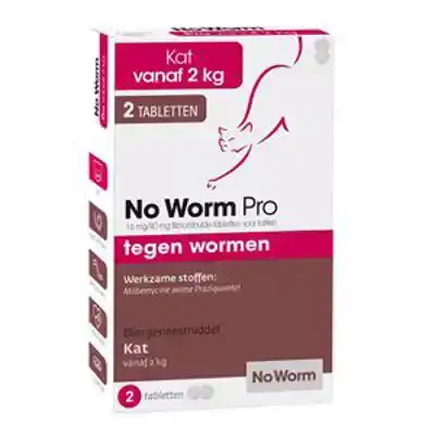 NO WORM PRO KAT 2 TABLETTEN