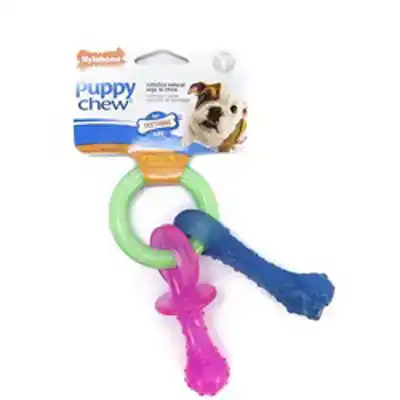 NYLABONE NYLABONE FLEXIBLE PUPPY TEETHING PACIFIER < 1
