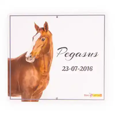 ONTWERP EEN STALBORD VOOR JOUW PAARD!