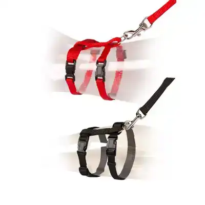 DUVO+ KATTENTUIG MIX KLEUR