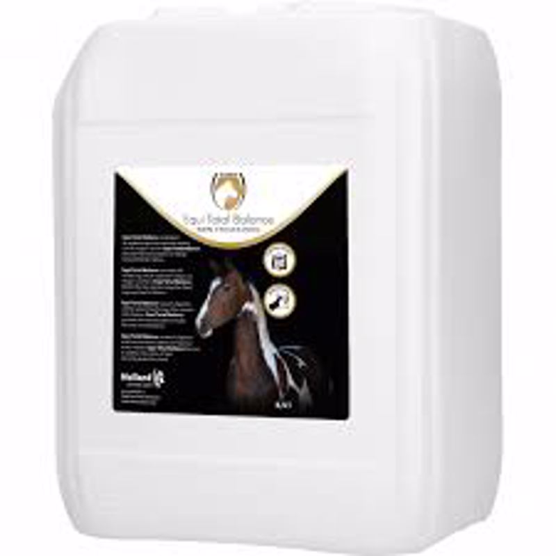 EQUI TOTAL BALANCE