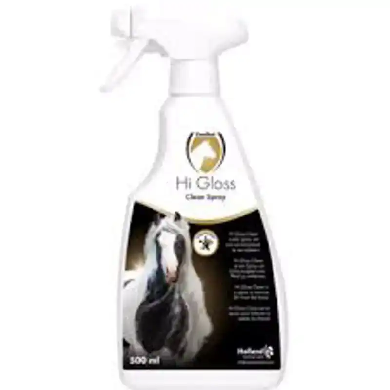 HI GLOSS CLEAN SPRAY
