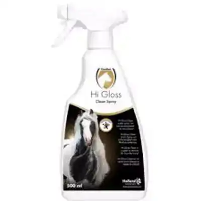 HI GLOSS CLEAN SPRAY