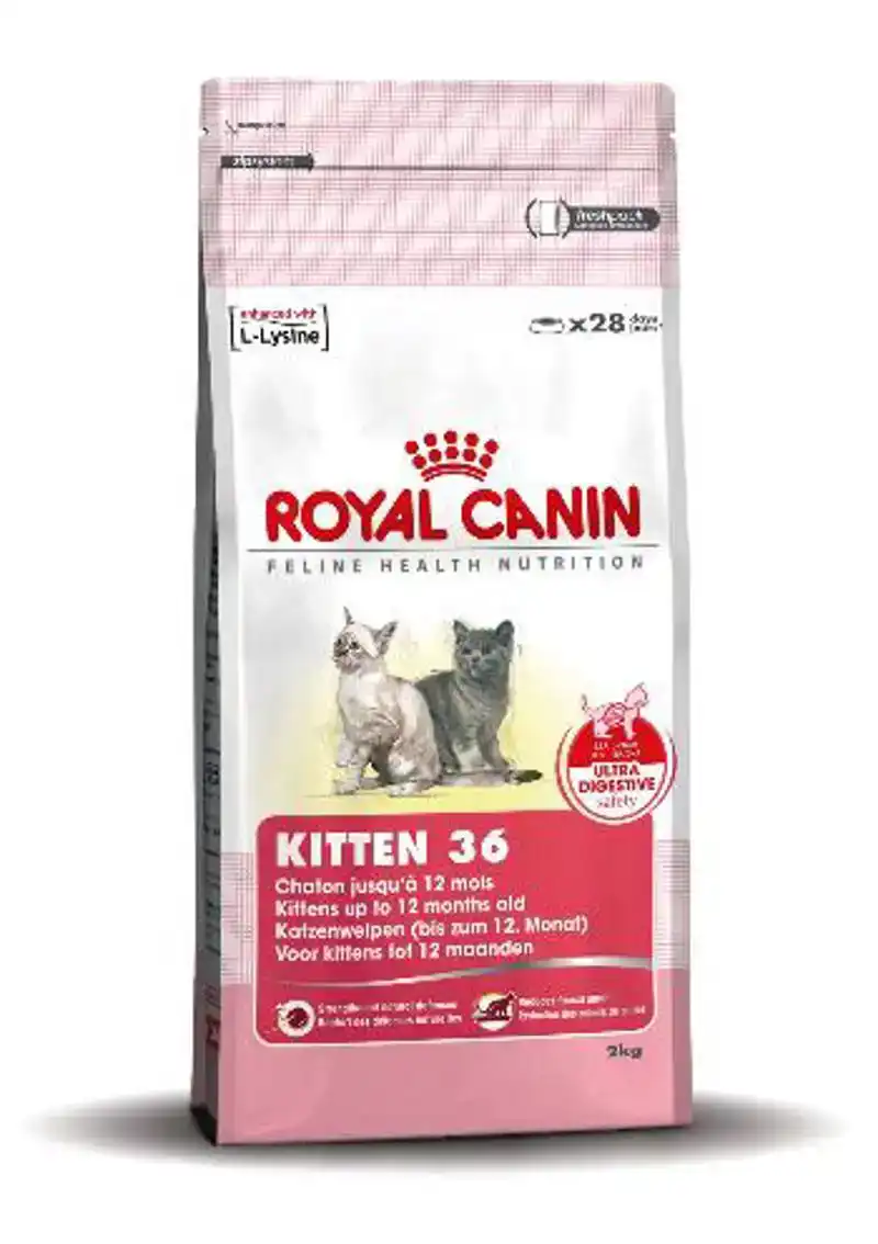RC FHN KITTEN 400G