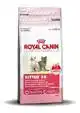 RC FHN KITTEN 400G