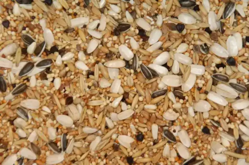 PARKIET GROOT SPECIAAL 20KG