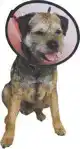 SMART COLLAR NR. 2 (25-31CM) HONDENKRAAG