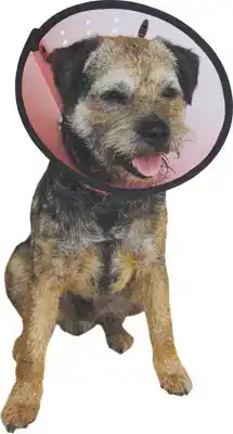 SMART COLLAR NR. 2 (25-31CM) HONDENKRAAG