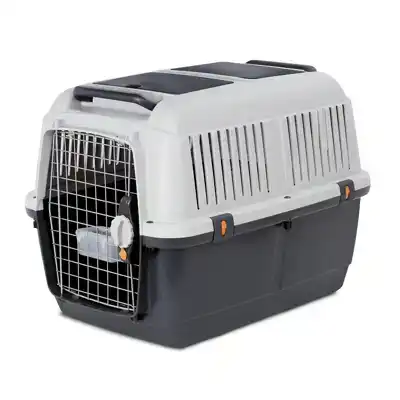 BRACCO IATA TRAVEL 4