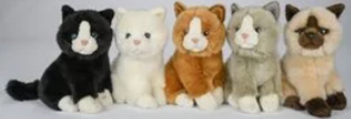 CADEAUSHOP PLUCHE KNUFFEL KAT, 850 ALL IN PUNTEN