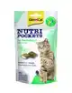 GIMCAT NUTRI POCKETS KATTENKRUID + MULTI VITAMINE 60 GR