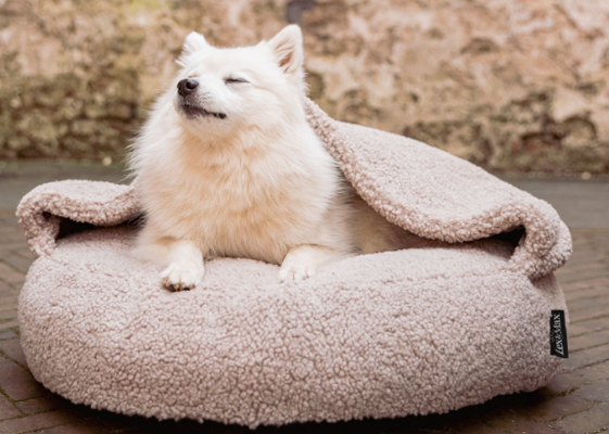 ORTHOPEDIC DACHSHUND HOODIE ROUND 65CM SAND