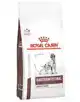 ROYAL CANIN GASTROINTESTINAL HIGH VIBRE HOND 2KG