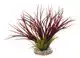 SYDECO SYDECO FAN GRASS 30CM