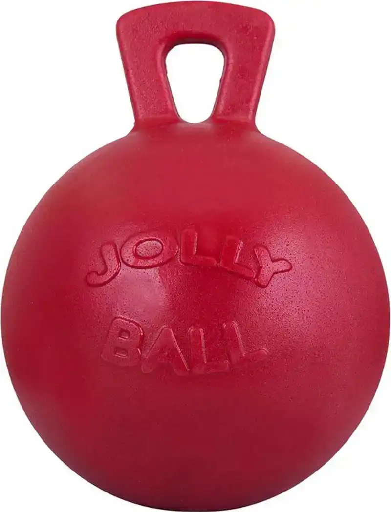 JOLLY BALL ROOD 25 CM