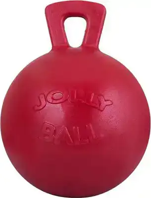 JOLLY BALL ROOD 25 CM