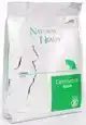 NATURAL HEALTH CAT CARNIVORE 400 GRAM